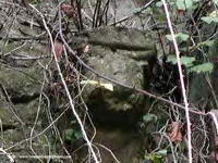 CANECILLO DEL LADO DERECHO