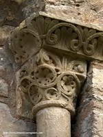 ROSAS Y VOLUTAS