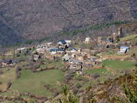 CASER&Iacute;O DE ASIN DE BROTO