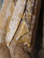 DETALLE DEL PA&Ntilde;O DE PUREZA