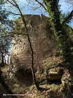 CABECERA DESDE EL NORTE