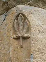 DETALLE DE HOJA DECORATIVA