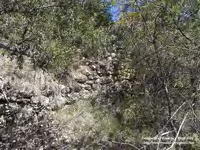 Muro