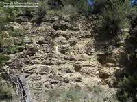Muro
