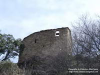 San Saturnino.Muro W