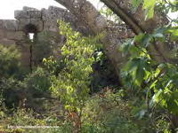 INTERIOR HACIA LA CABECERA