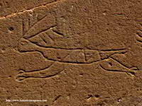 GRAFITIS EN DOVELAS DE ENTRADA-CIERVO-ESCOLOPENDRA