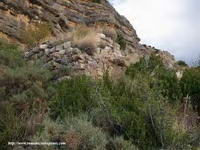 ANGULO SUROESTE DE SAN MIGUEL