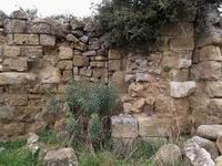 VISTA SUR DE PRESBITERIO, EXTERIOR, CON PUERTA CEGADA