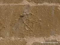 DETALLE DEL GRAFITI.