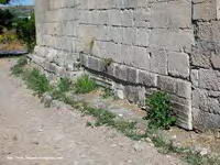 DETALLE DEL BASAMENTO EN MURO NORTE