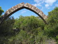 ARCO POSTERIOR 