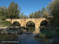 BELLO PUENTE MEDIEVAL EN EL ACCESO A MONLORA