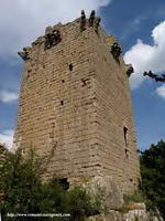 TORRE&Oacute;N DEL CASTILLO G&Oacute;TICO