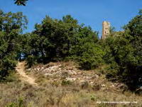 CAMINO HACIA EL CASTILLO. AL FINAL DE ESE REPECHO SE HALLA LA PALTAFORMA EN LA QUE ASIENTA EL TEMPLO