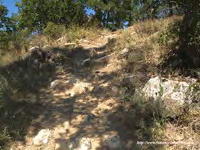 ESCAL&Oacute;N EN EL CAMINO