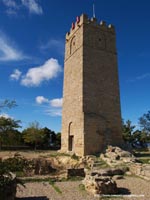 VISTA SUR DEL TORRE�N