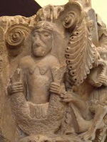 SIRENA DE DOS COLAS