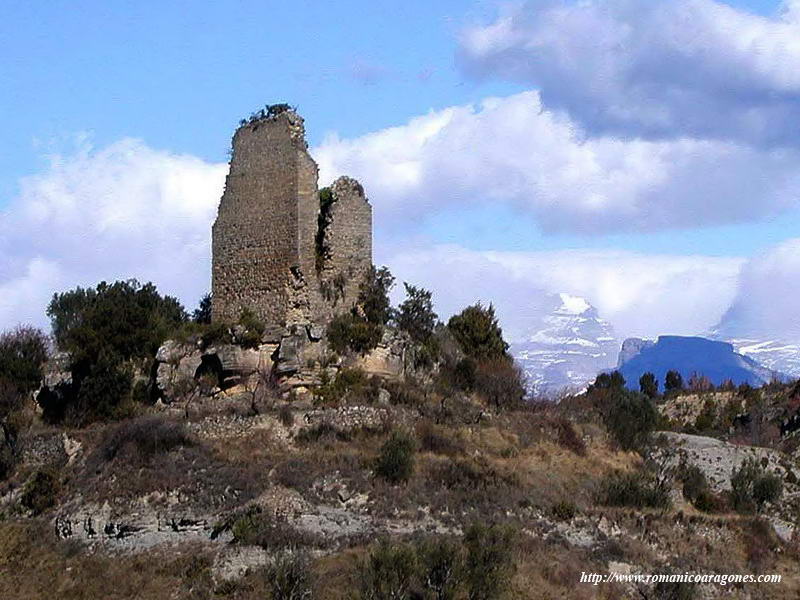 TORRE DE ARCUSA. AL FONDO EL PIRINEO. VISTE DESDE EL SURESTE.