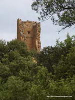 TORRE DESTACANDO ENTRE EL ARBOLADO. VISTA SUR