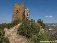 VISTA SUR, CON LA MURALLA MODERNA ADOSADA