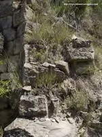 DETALLE DE LA COMPOSICI&Oacute;N DE SU MURO