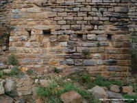 ASPILLERAS DEFENSIVAS