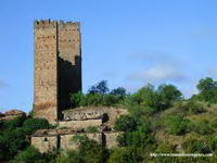 VISTA ESTE DE LAS TORRES Y RESTO DE RECINTO