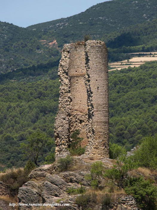 VISTA SUR DE LA TORRE