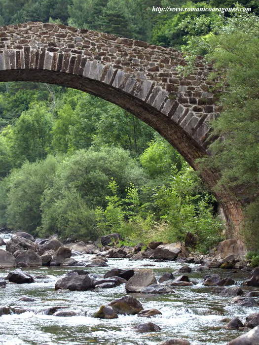 DETALLE DEL OJO SOBRE EL RIO ARAGÓN