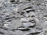 PLEGAMIENTOS EN LOS FLYSCH EOCNICOS