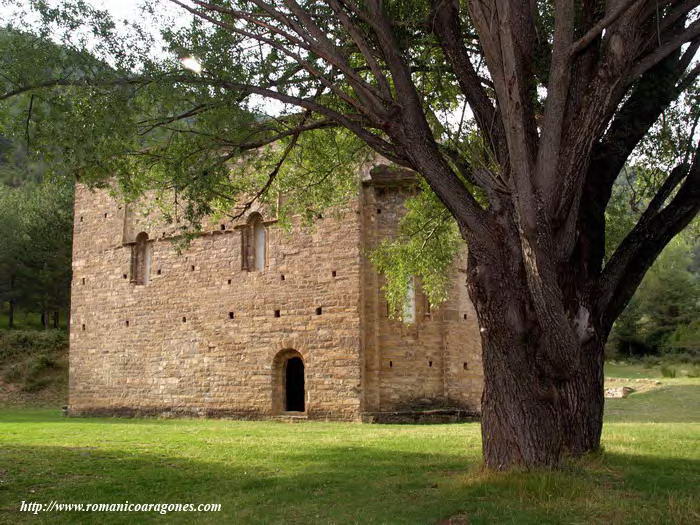 MONASTERIO Y ÁRBOL