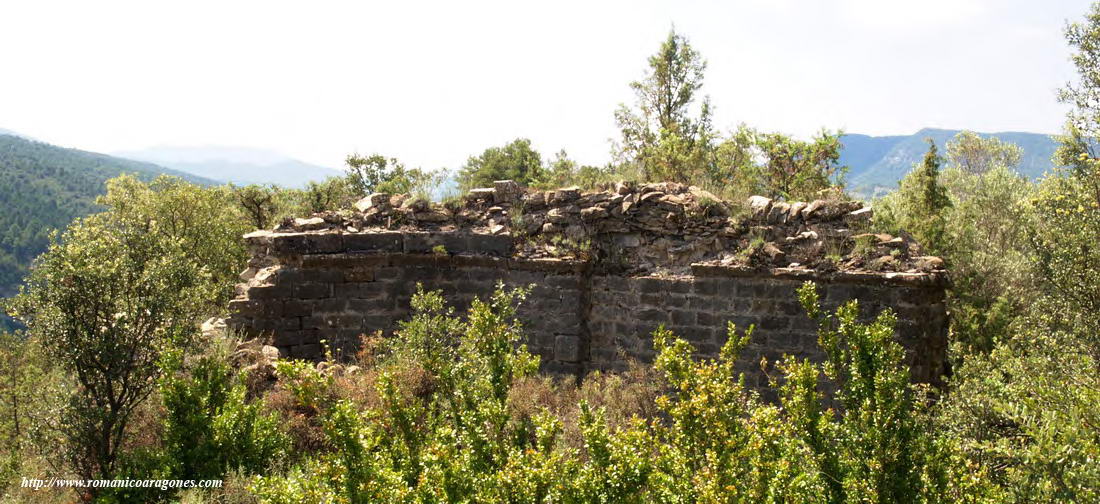 RUINAS DESDE EL NOROESTE, SEMIOCULTAS POR LA MALEZA