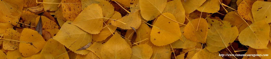 EL OTO�O EN LA ORILLA DEL IS�BENA