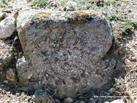 ESTELA DESCUBIERTA