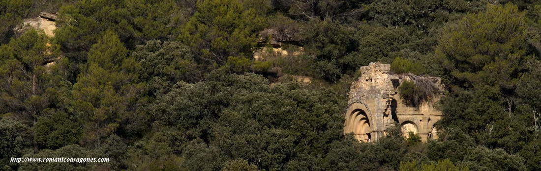 RUINAS DE SAN MIGUEL ENTRE LA VEGETACIÓN